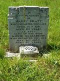 image number Pratt Harry  249